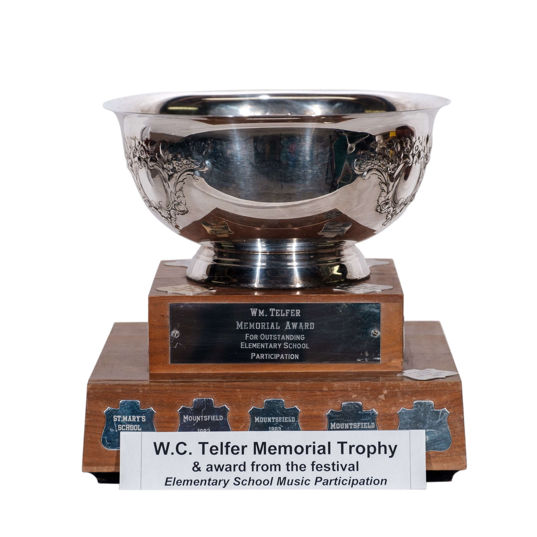 W.C. Telfer Memorial Award